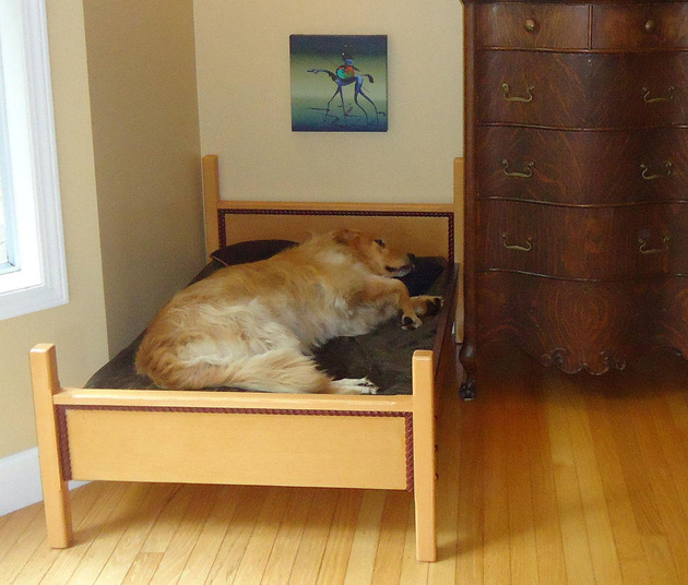 11-dog-beds-you-your-dog-love.jpg
