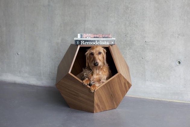 18-dog-beds-you-your-dog-love.jpg