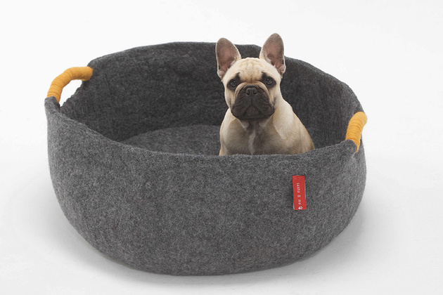 19-dog-beds-you-your-dog-love.jpg