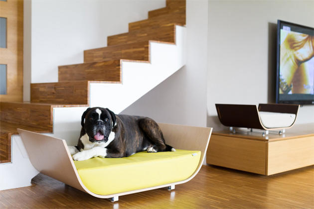 4-dog-beds-you-your-dog-love.jpg