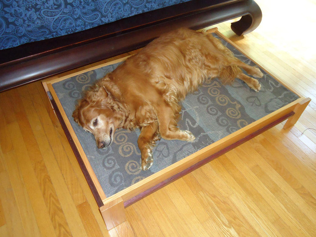 9-dog-beds-you-your-dog-love.jpg