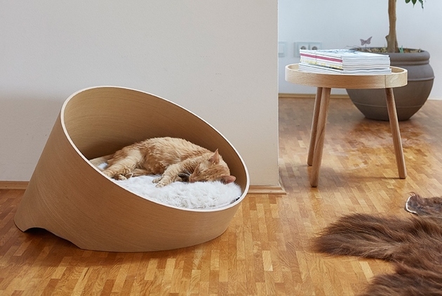1-chic-cosy-cat-beds-modern-homes.jpg