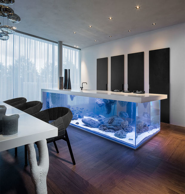 modern-countertops-unusual-material-kitchen-aquarium.jpg