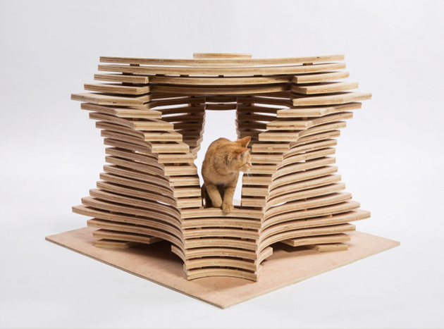 2-la-architects-design-cat-shelters-charity.jpg