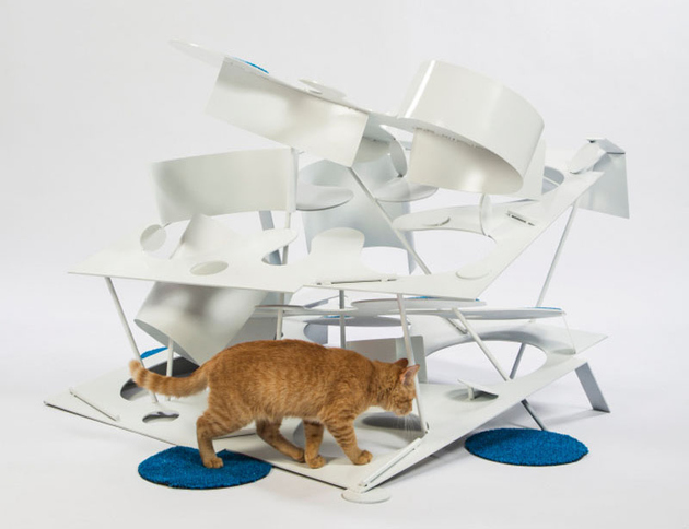 3-la-architects-design-cat-shelters-charity.jpg