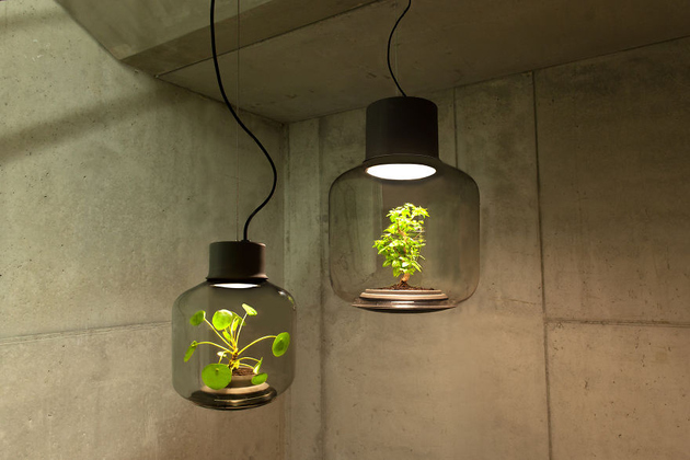 plant-lamps-with-natural-light-awesome-1.jpg