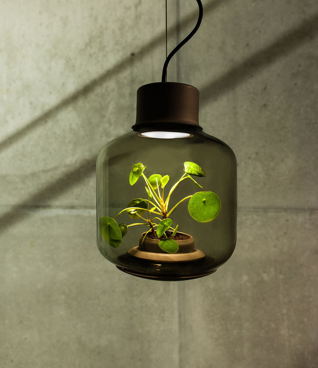plant-lamps-with-natural-light-awesome-2.jpg