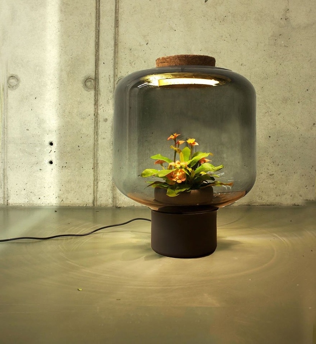 plant-lamps-with-natural-light-awesome-3.jpg
