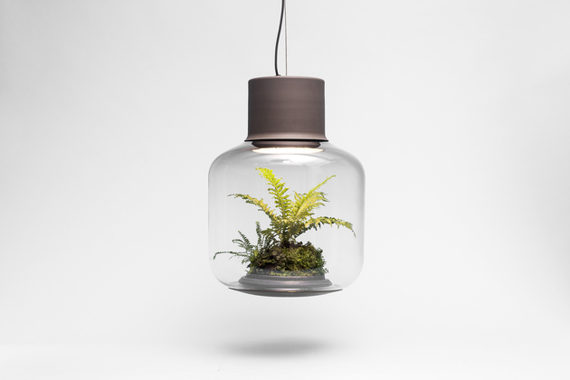 plant-lamps-with-natural-light-awesome-8.jpg