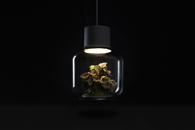 plant-lamps-with-natural-light-awesome-9.jpg