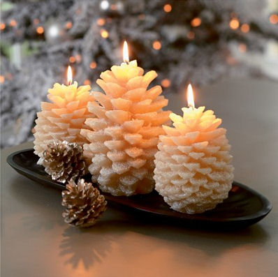 cute Candles pinecone-candles.jpg