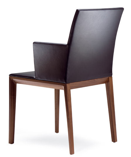 Contemporary Dining Chairs with Arms