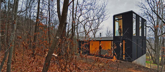 Wisconsin-cabin-nhà-với-chim hoàng yến màu vàng-màn-tường-4.jpg