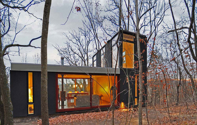 Wisconsin-cabin-nhà-với-chim hoàng yến màu vàng-màn-tường-9.jpg