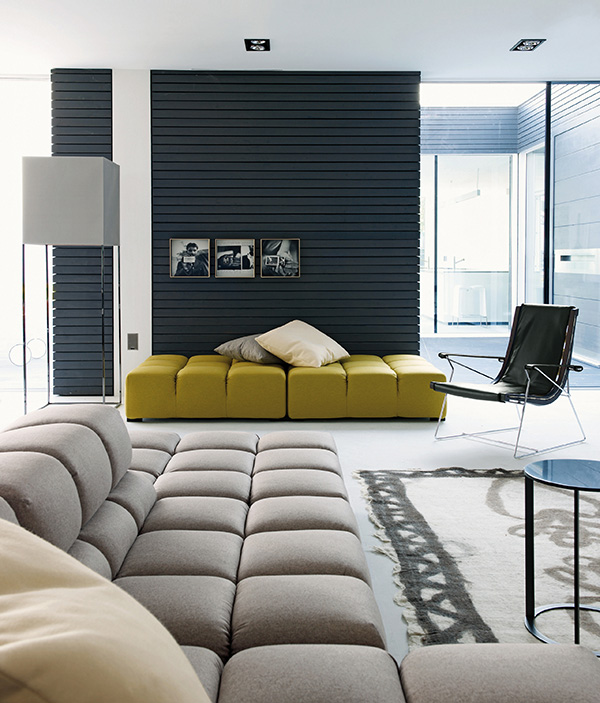 modern prefabricated home showcases high end furniture