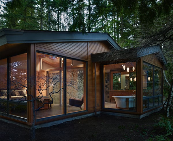 Modern Wood House