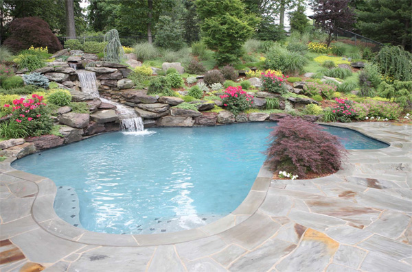 Backyard Landscapes With Pools