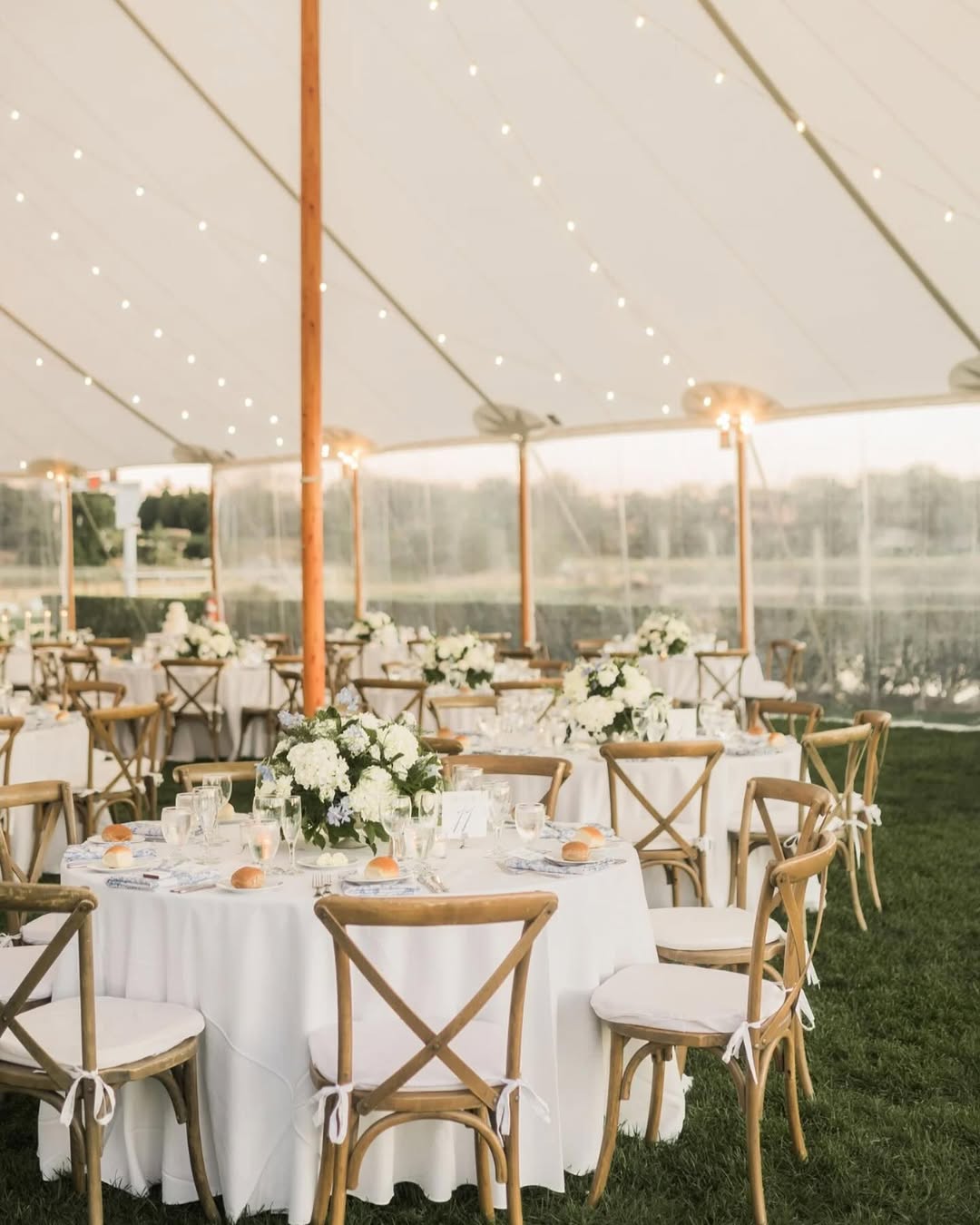 Citrus‑Bright Garden Style