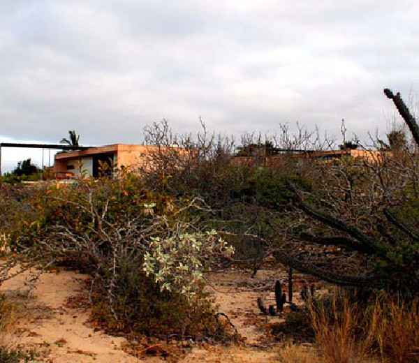 gregori residence beach house 2